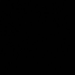 Meet your Posher, Mira